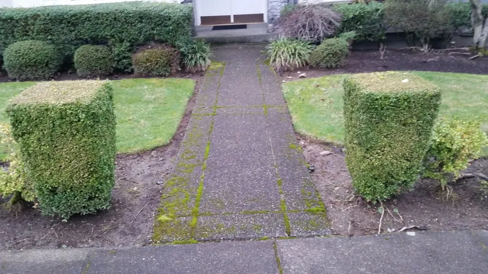 Slide of Salmon Bay Window Cleaning