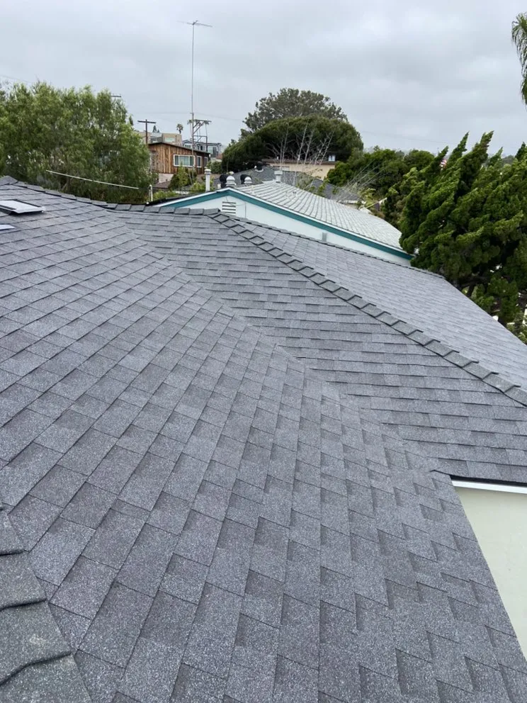 Slide of Salmond Construction