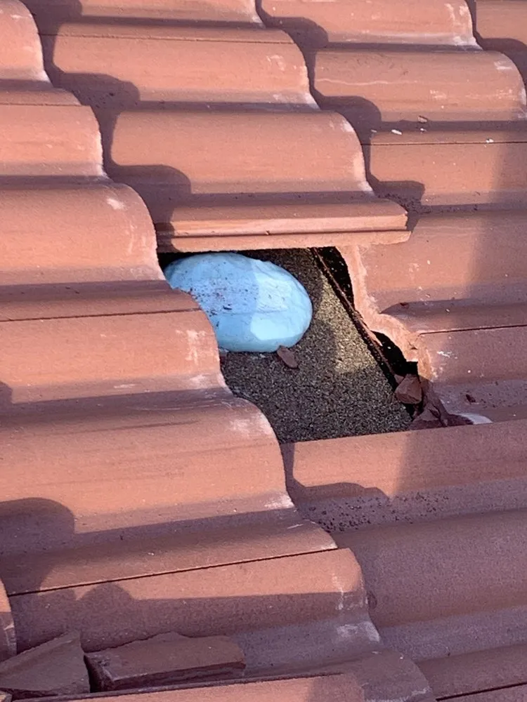 Slide of Sals Roofing Repairs