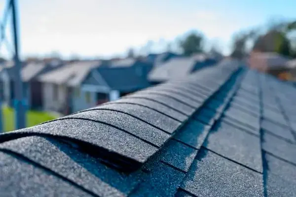 Slide of Salt Roofing