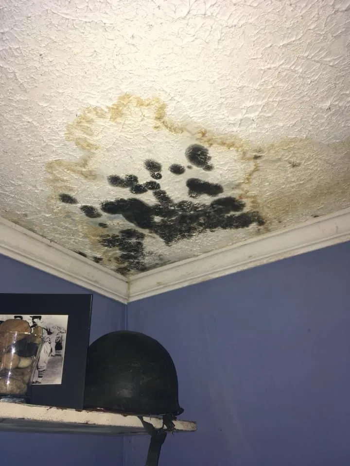 Slide of Salter's Construction