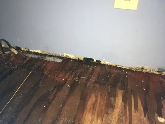 Salter's Construction