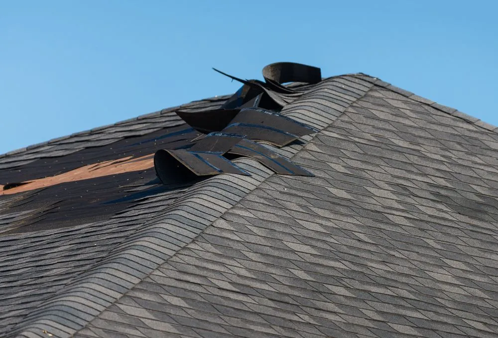 Slide of Salvo Roofing