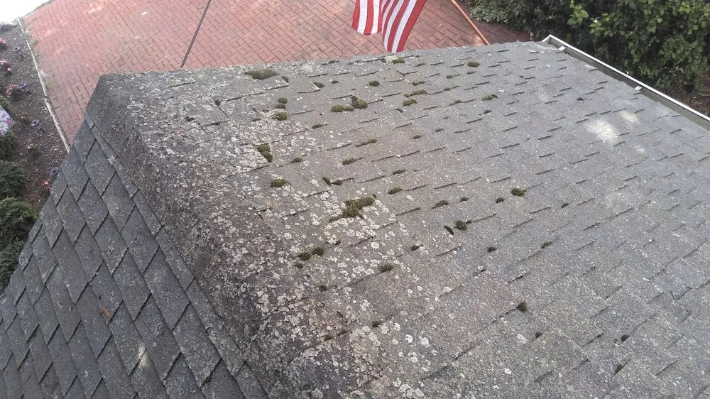 Slide of Sam The Tile Man