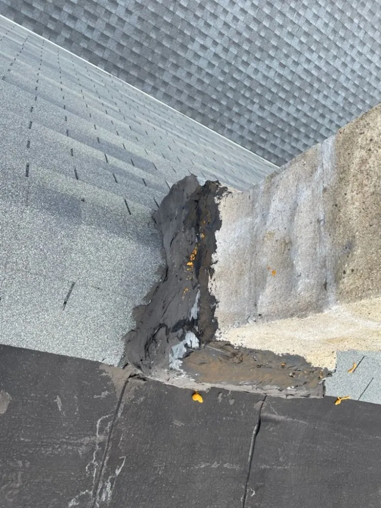 Slide of Same Day Flat Roofs