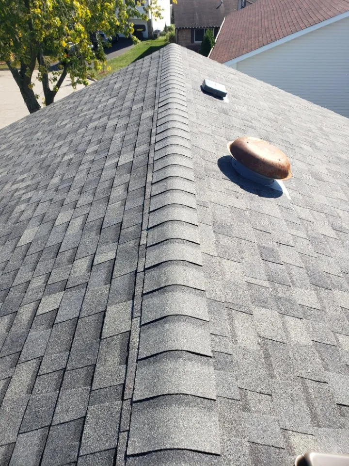 Slide of SAMM Renovate Revive