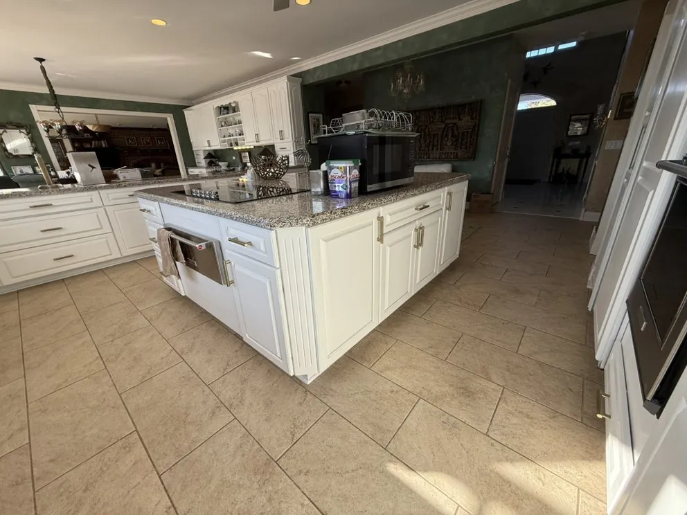 Slide of SAMM Renovate Revive