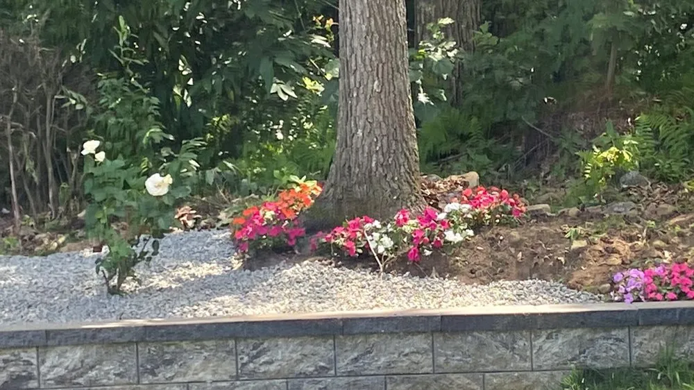 Slide of Sammy Construction