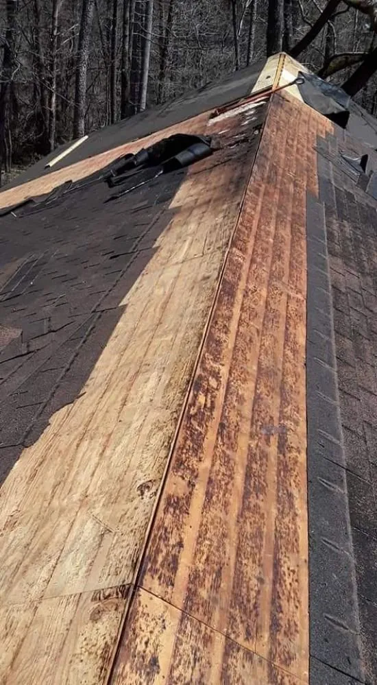 Slide of Sammy's Roofing & Repair