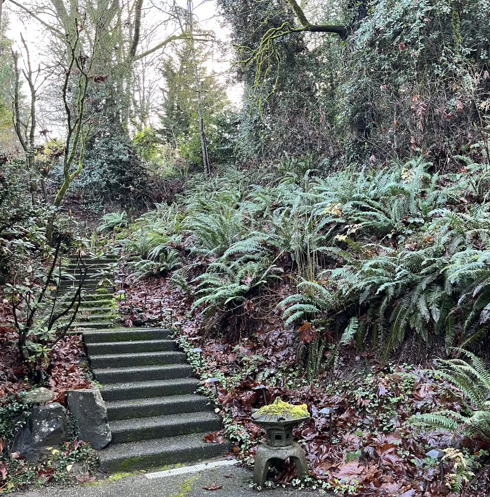 Slide of Sam's Roof and Exteriors