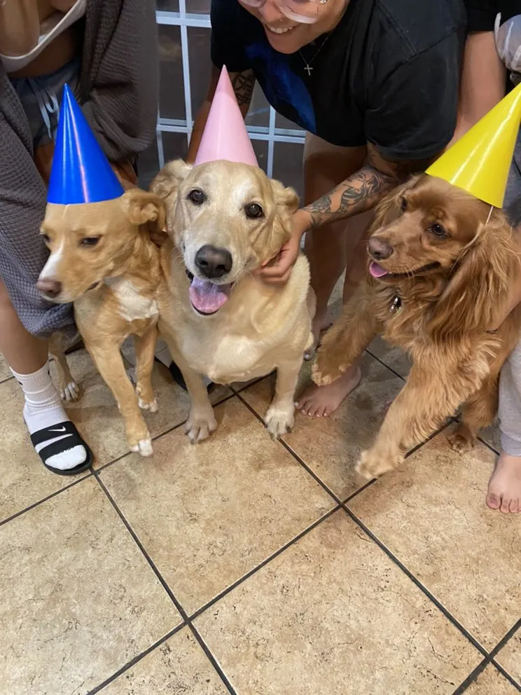 Slide of Samson Construction