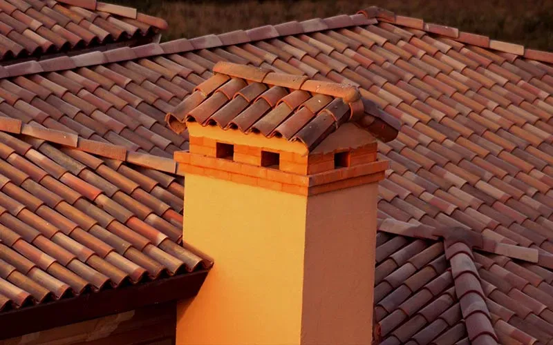 Slide of Samuel C. Boyd