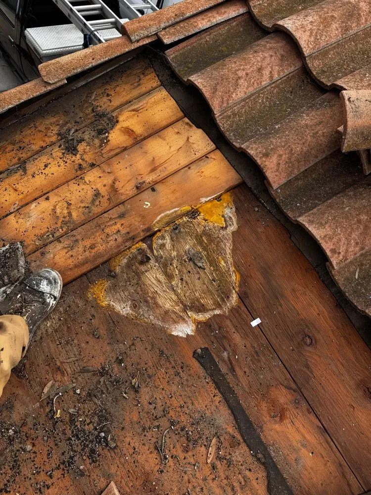 Slide of San Diego Signature Roofs