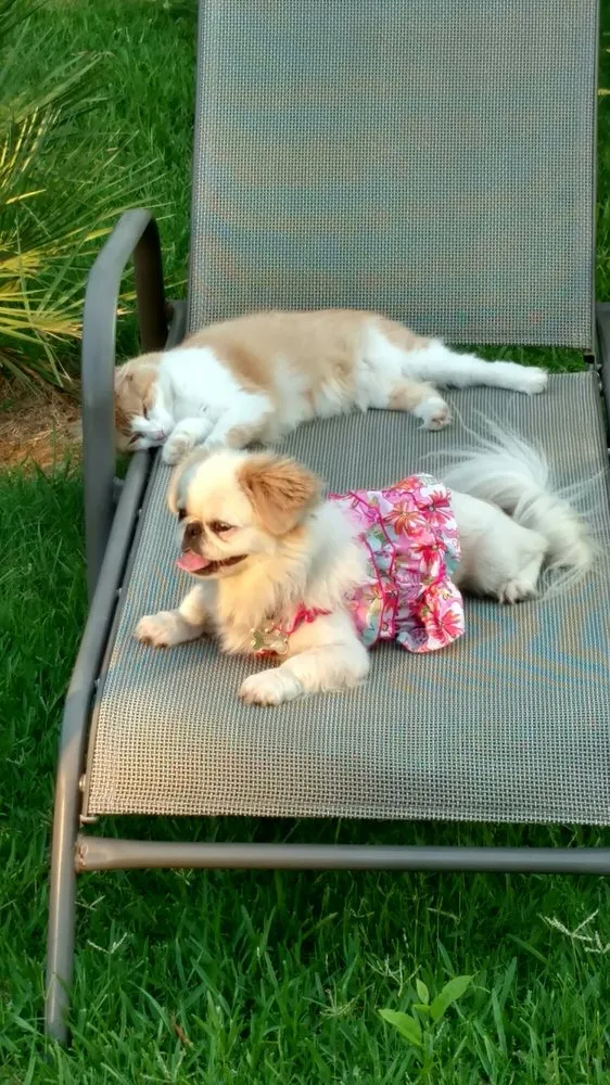 Slide of Sanchez Roofing