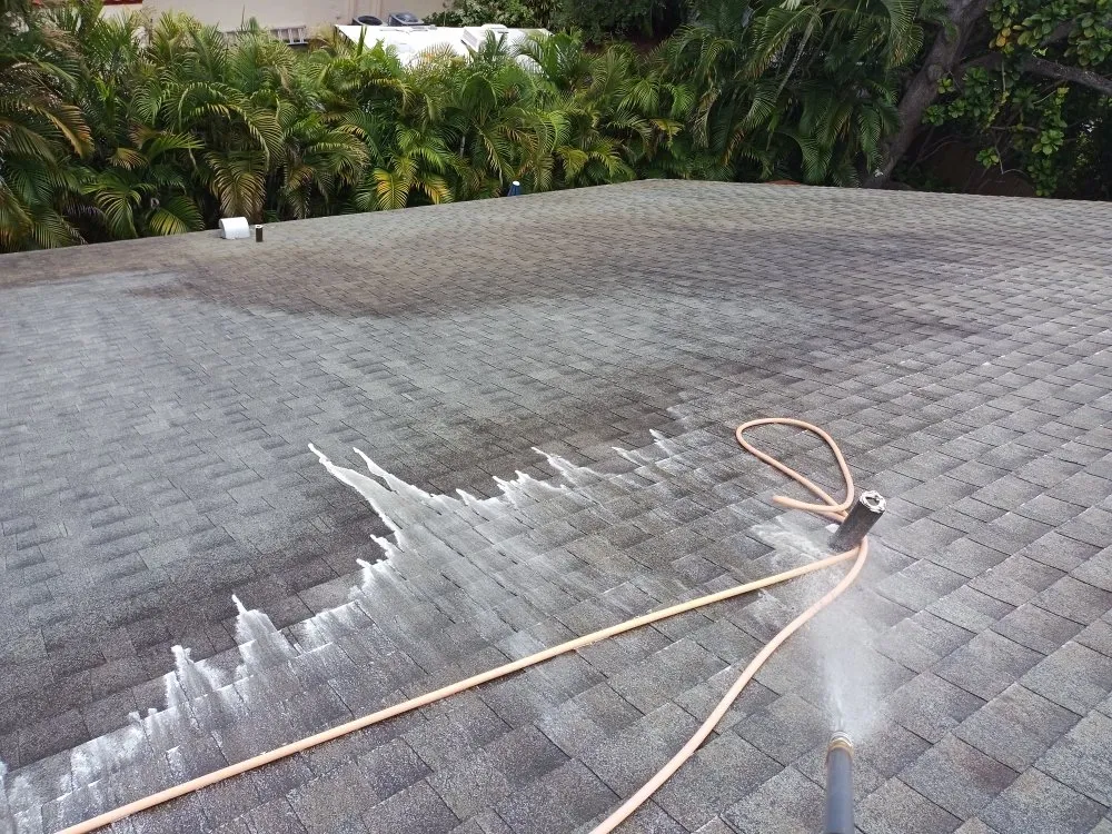 Slide of Sandbar Soft Wash