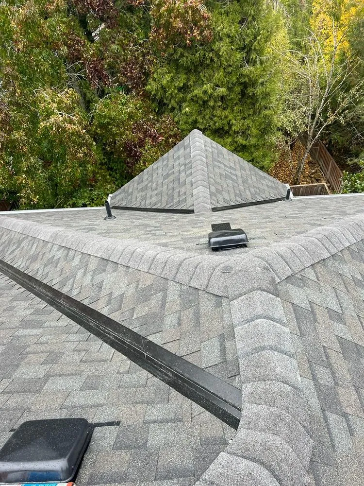 Slide of Sani Roofing & Construction