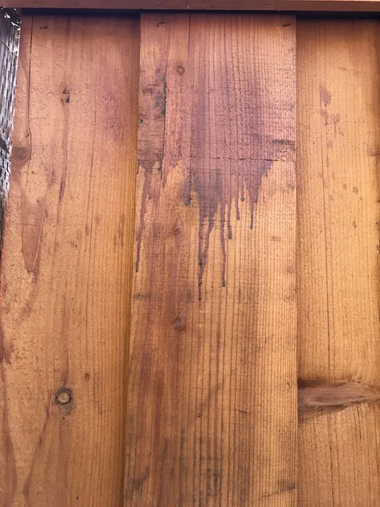 Slide of Santa Clara Valley Complete Services