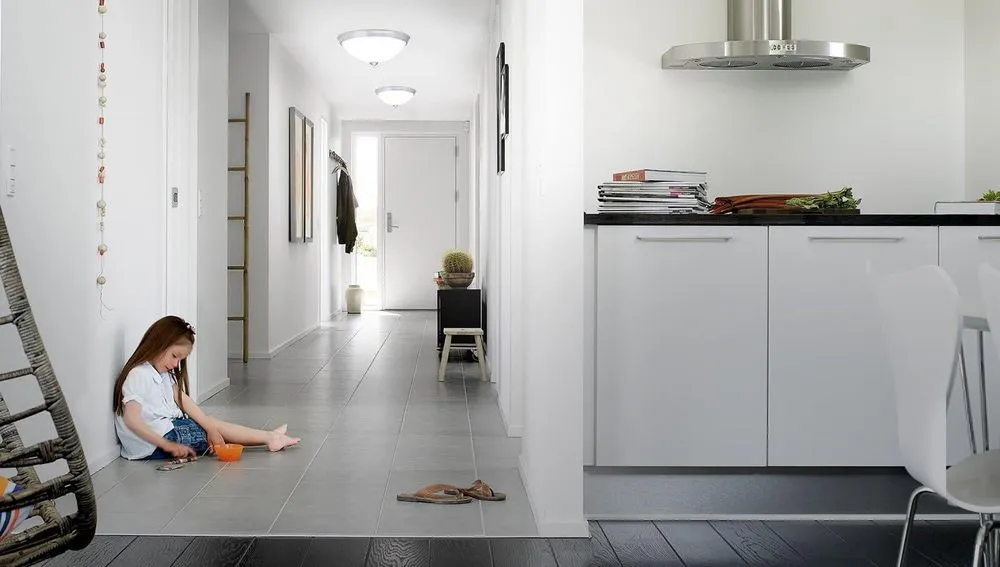 Slide of Santa Cruz Skylights