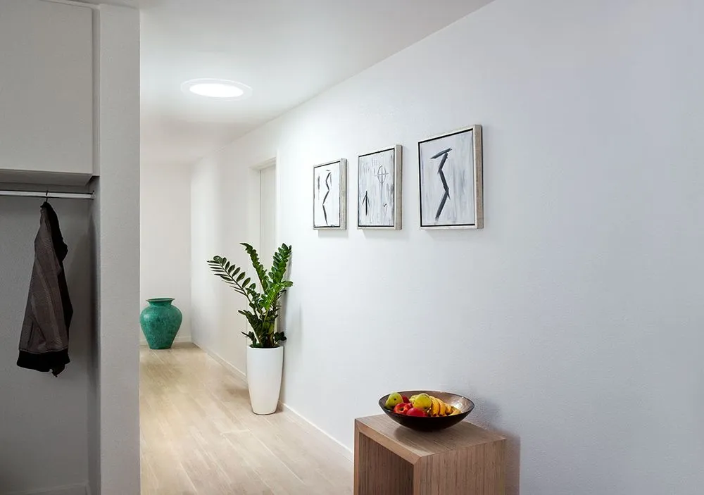 Slide of Santa Cruz Skylights