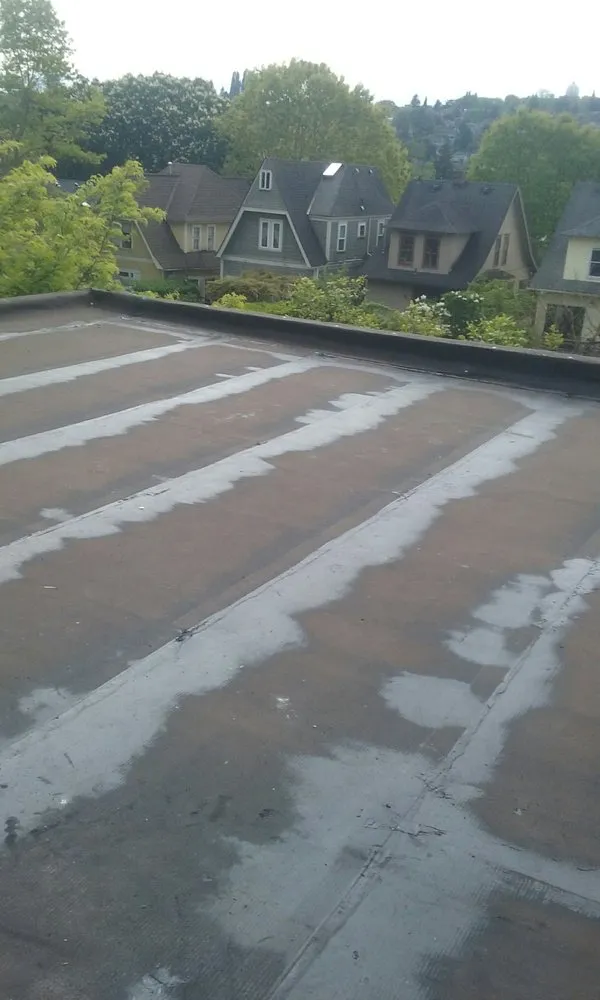 Slide of Sap Roofing