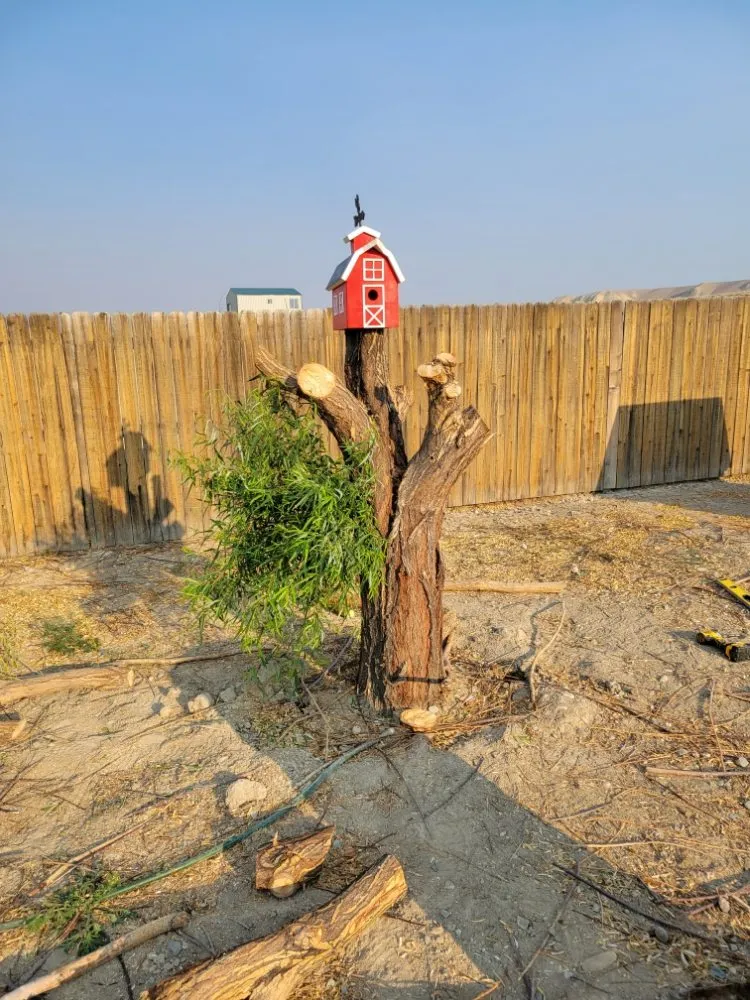 Slide of Sarvis & Sons Enterprises