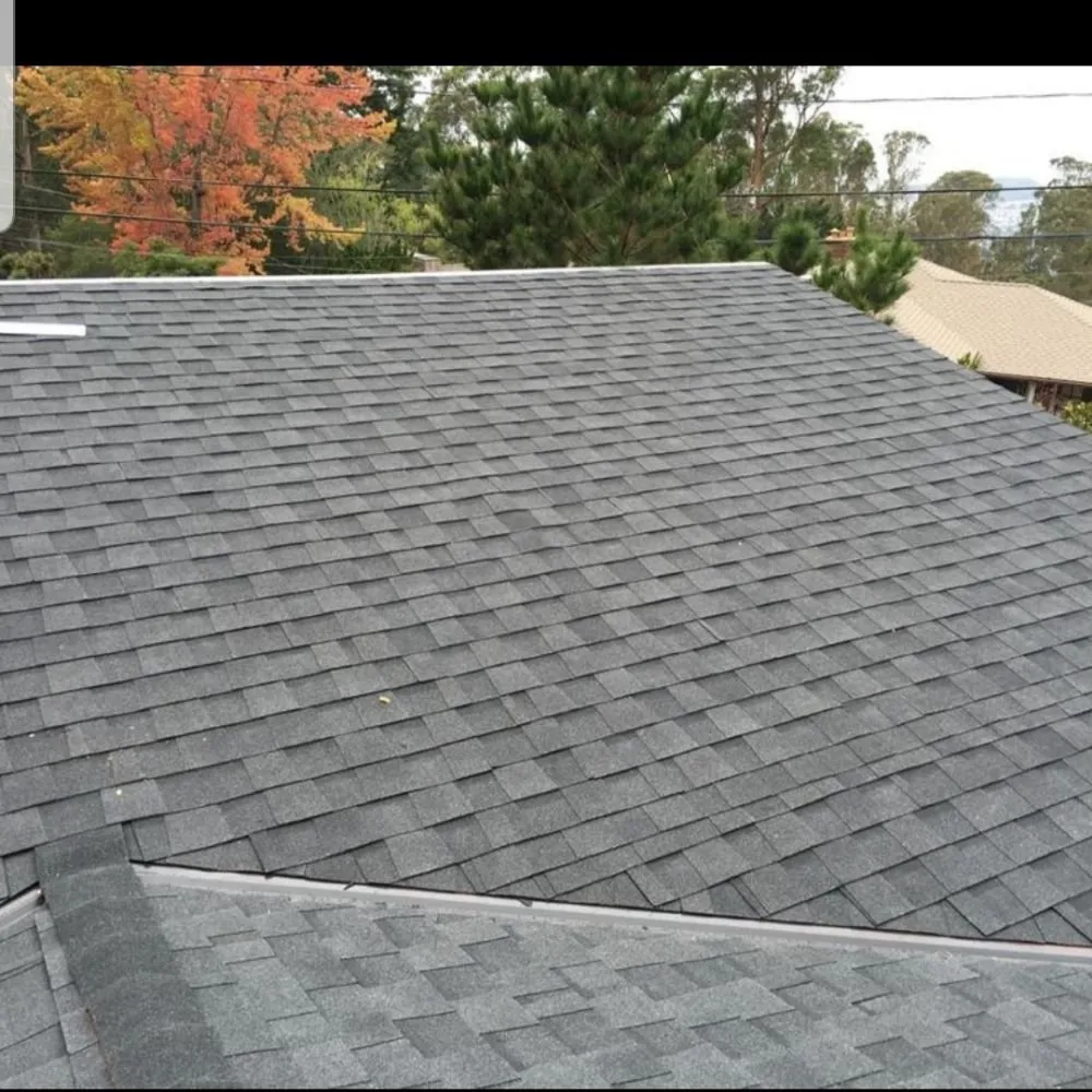 Slide of SAS -Z Contracting