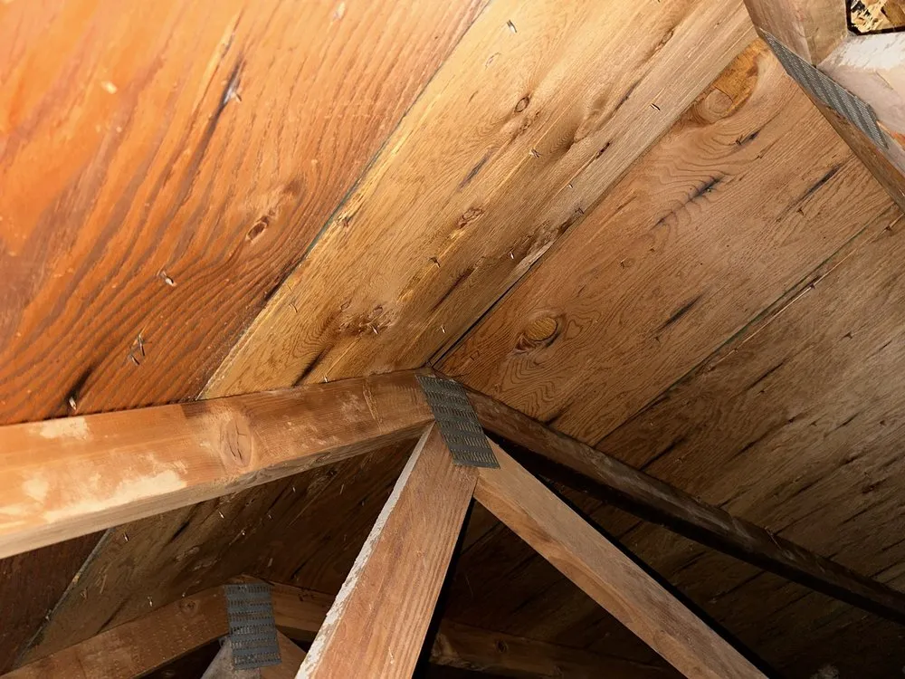 Slide of SAS Services