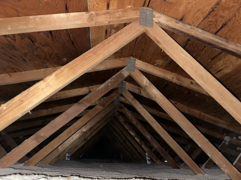 Slide of SAS Services