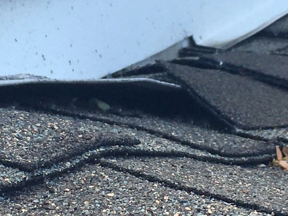 Slide of SAS Services