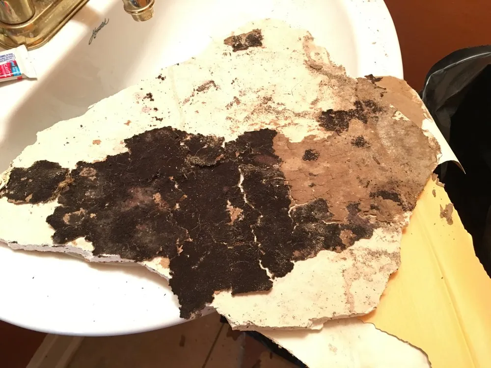 Slide of Saunders Roofing