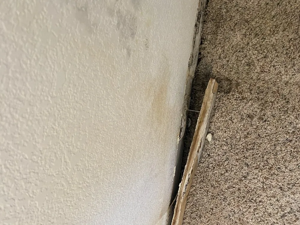 Slide of Sauve Construction