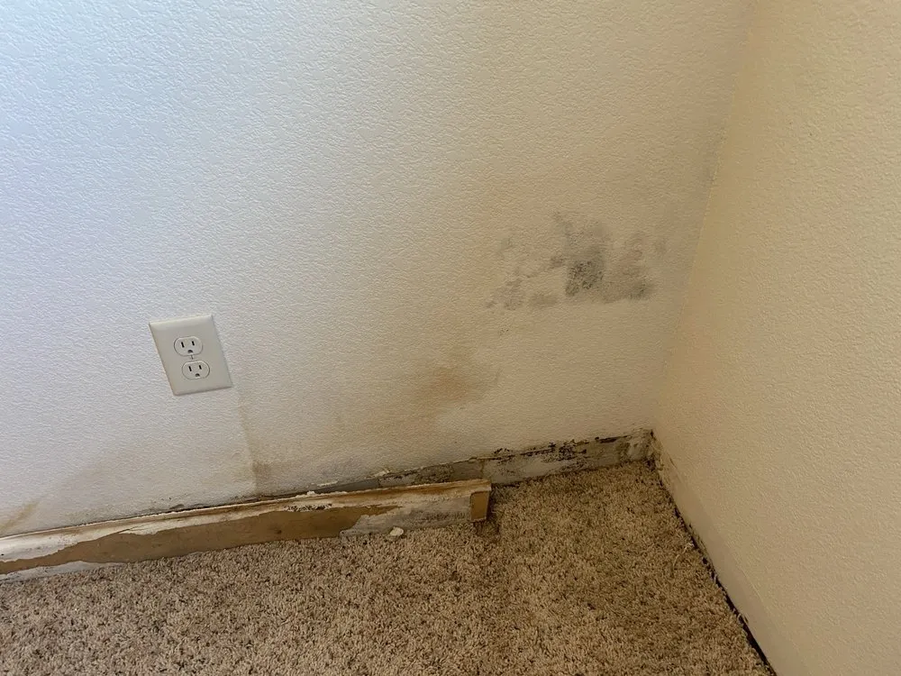 Slide of Sauve Construction