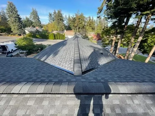 Slide of Savage Roofing