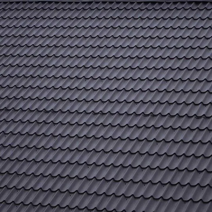 Slide of Savannah Roofs