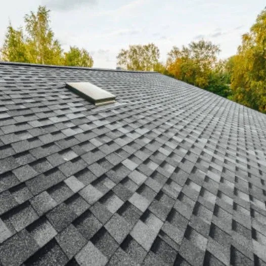 Slide of Save A Roof