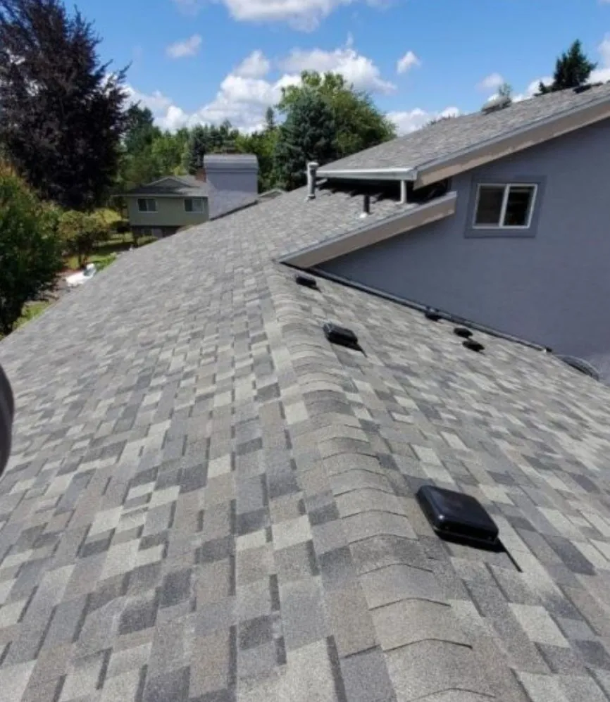 Slide of Sawtooth Roofing