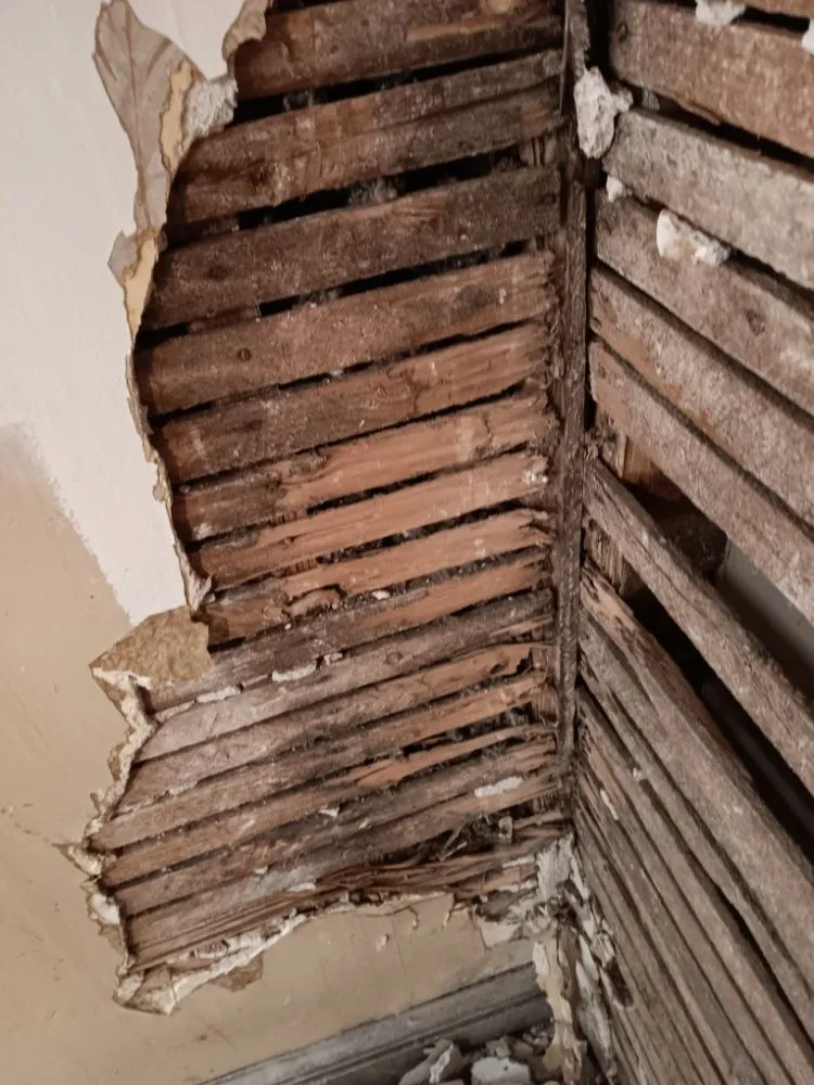 Slide of SBT Construction