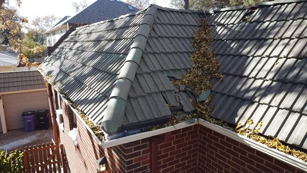 Slide of Sbx Construction