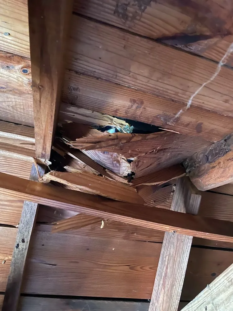 Slide of Scandinavian Roofing