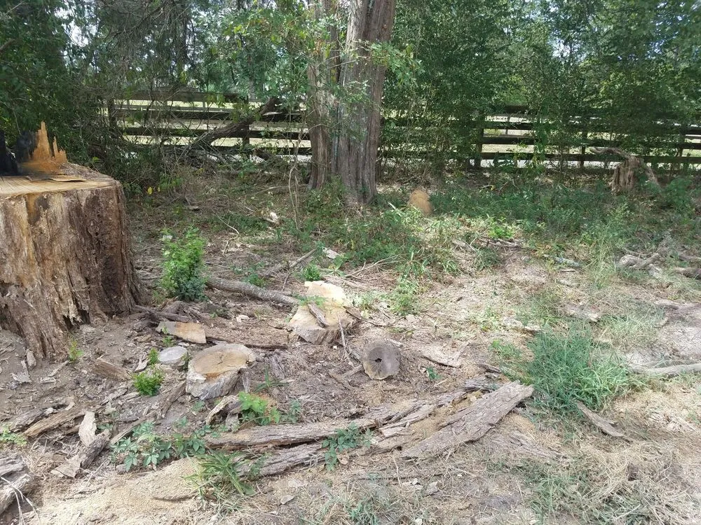 Slide of SCE Landscaping/Tree Service