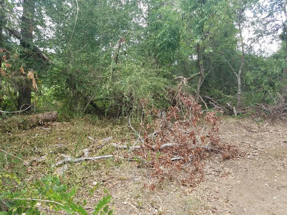 Slide of SCE Landscaping/Tree Service