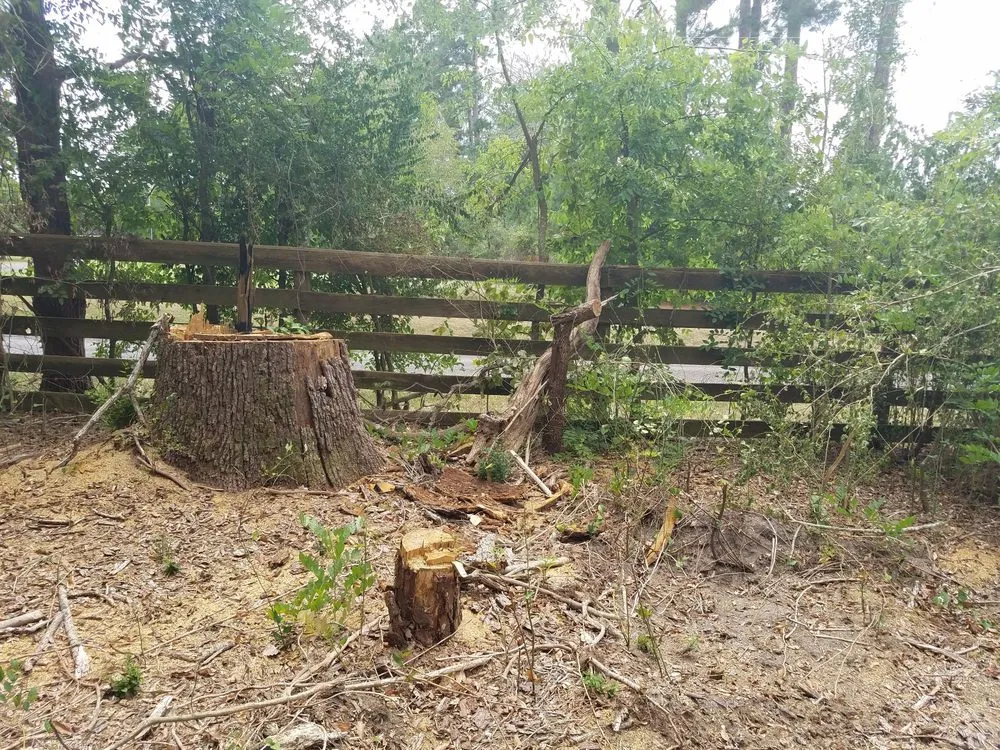 Slide of SCE Landscaping/Tree Service