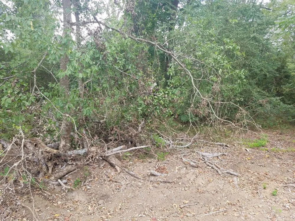 Slide of SCE Landscaping/Tree Service