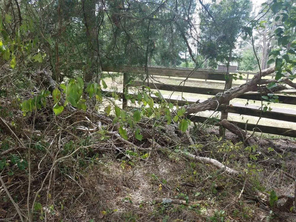 Slide of SCE Landscaping/Tree Service