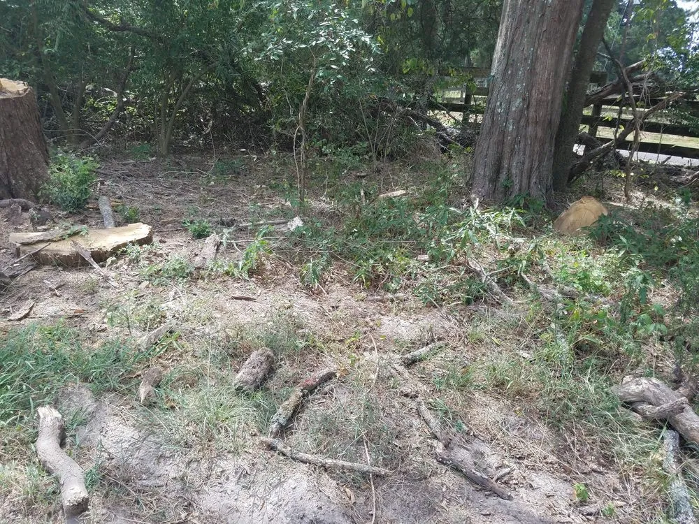 Slide of SCE Landscaping/Tree Service