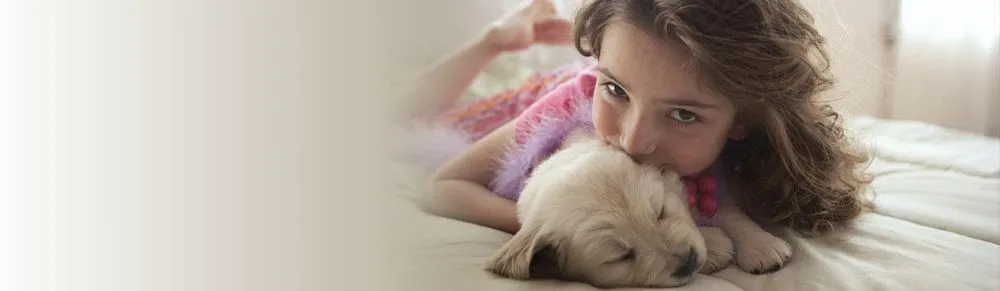 Slide of Schaus Roofing & Mechanical Contractors