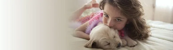 Schaus Roofing & Mechanical Contractors Logo