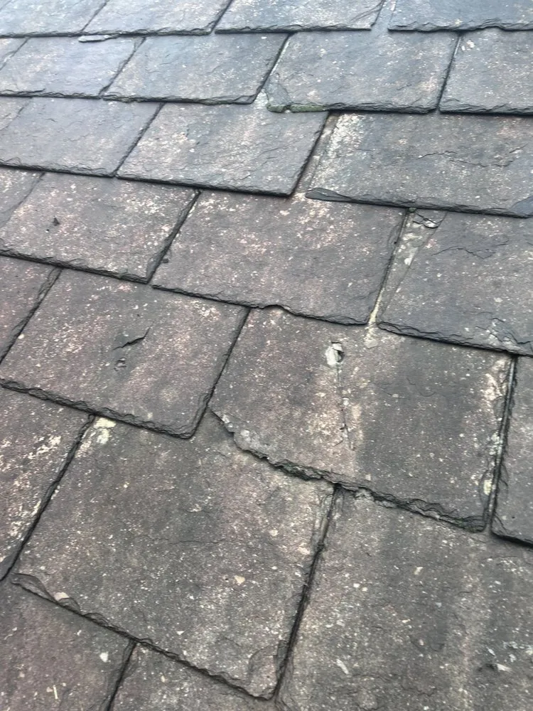 Slide of Schroeder Construction