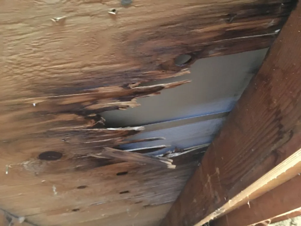 Slide of Schroeder Roofing