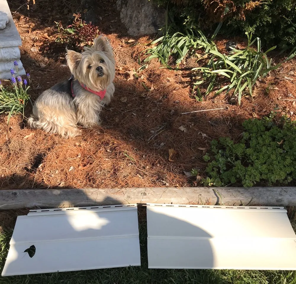 Slide of Schueller And Sons Reconstruction